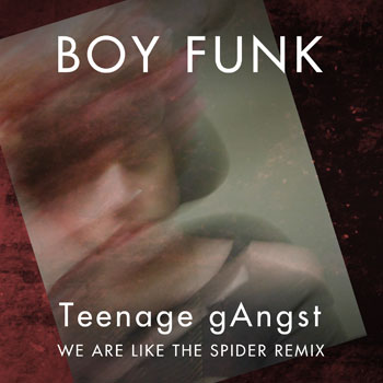 Boy Funk - Teenage gAngst - We Are Like the Spider Remix